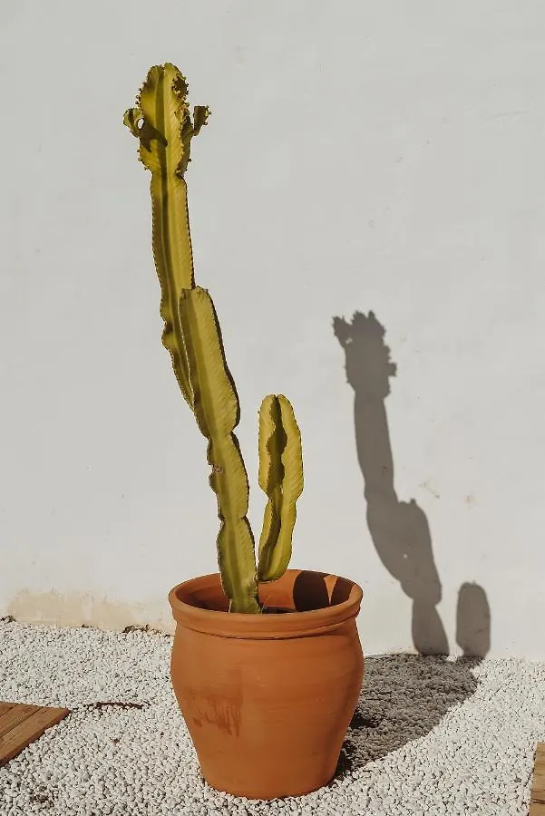 Finca Elements Comares
